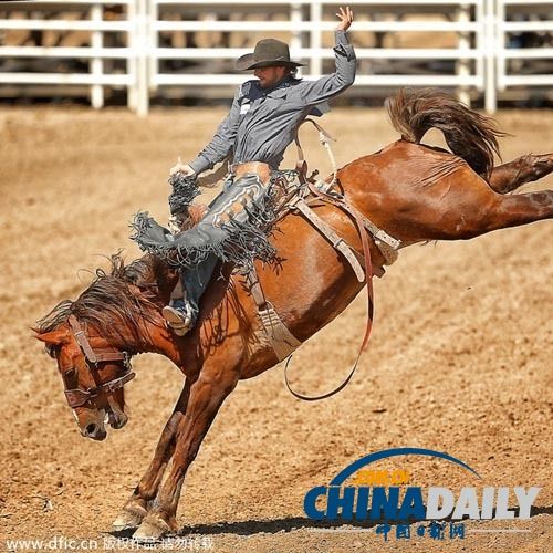 Kaiyun-Karsa赛事官方发布败北新规，加拿大队争议不断！的简单介绍